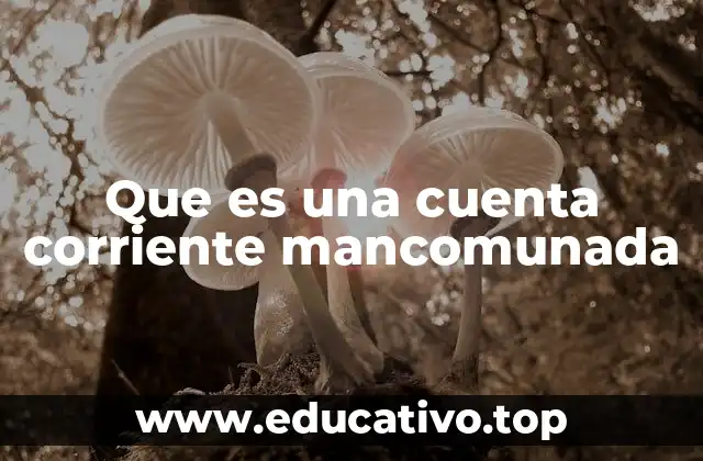 Que es una cuenta corriente mancomunada