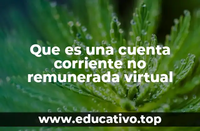 Que es una cuenta corriente no remunerada virtual