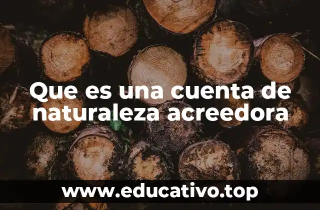 Que es una cuenta de naturaleza acreedora