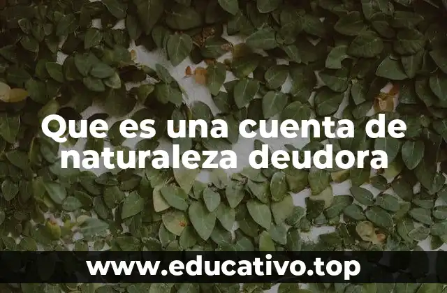 Que es una cuenta de naturaleza deudora