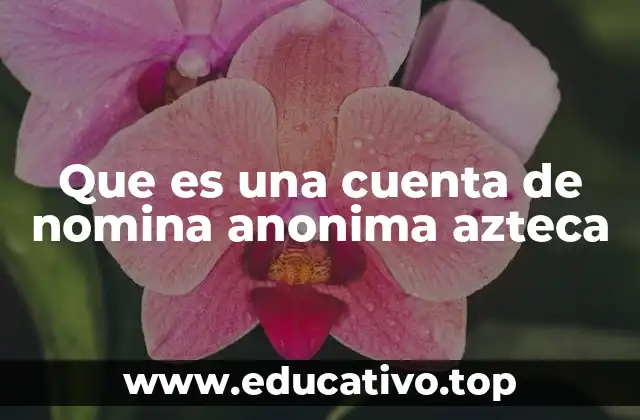 Características de una cuenta de nómina anónima