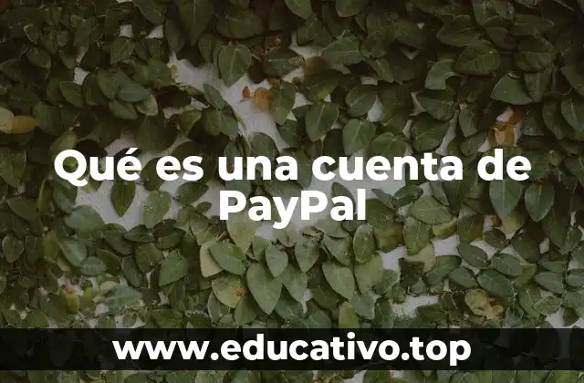 Cómo funciona el sistema de PayPal