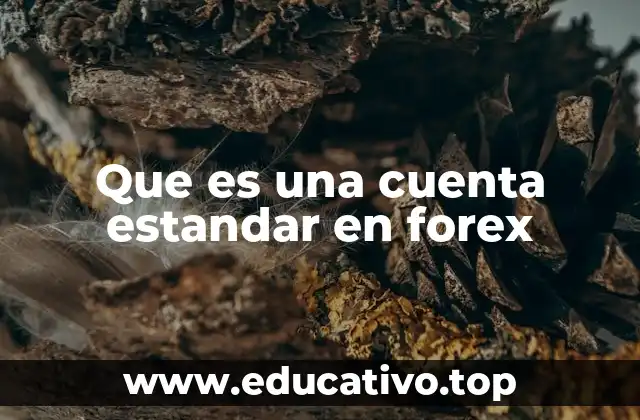 Que es una cuenta estandar en forex