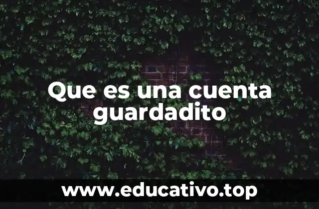 Que es una cuenta guardadito