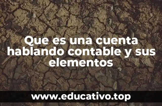 Que es una cuenta hablando contable y sus elementos