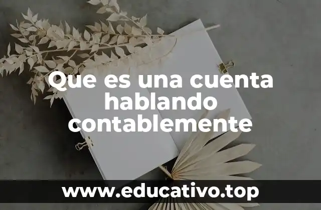Que es una cuenta hablando contablemente