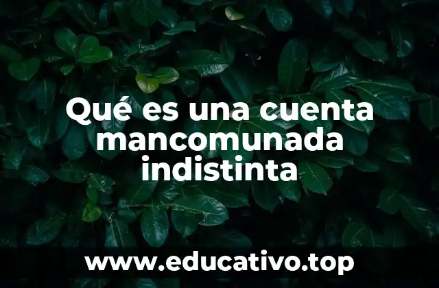 Qué es una cuenta mancomunada indistinta