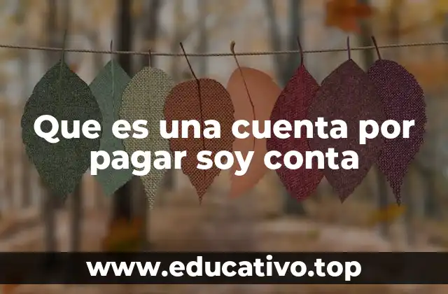 Que es una cuenta por pagar soy conta