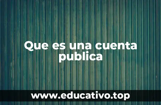 Que es una cuenta publica