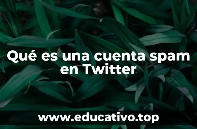 Qué es una cuenta spam en Twitter
