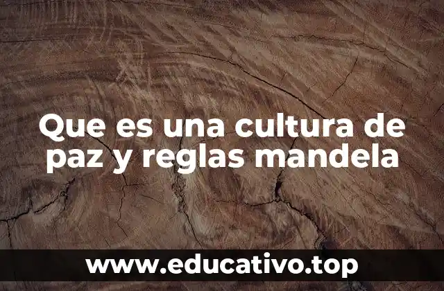 Que es una cultura de paz y reglas mandela