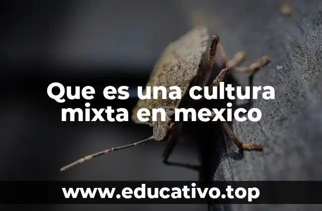 Que es una cultura mixta en mexico