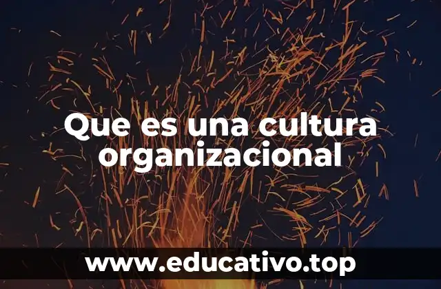Que es una cultura organizacional