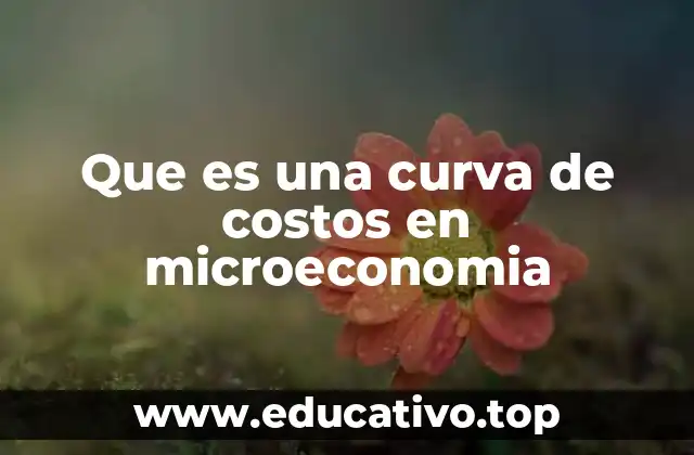 Que es una curva de costos en microeconomia