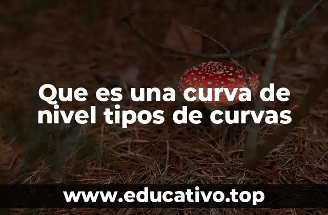 Que es una curva de nivel tipos de curvas