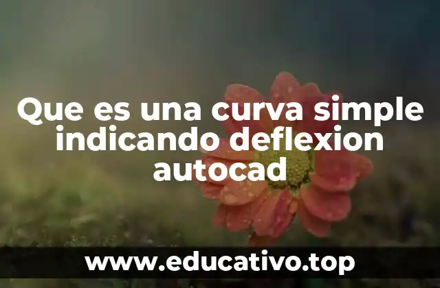 Aplicaciones prácticas de las curvas con deflexión en AutoCAD