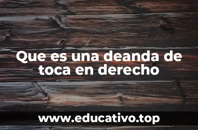 Que es una deanda de toca en derecho