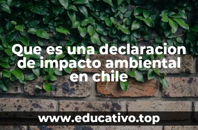 Que es una declaracion de impacto ambiental en chile