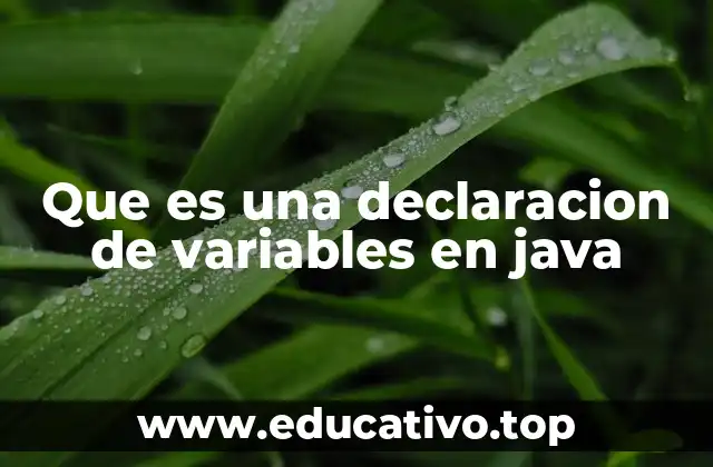 Que es una declaracion de variables en java