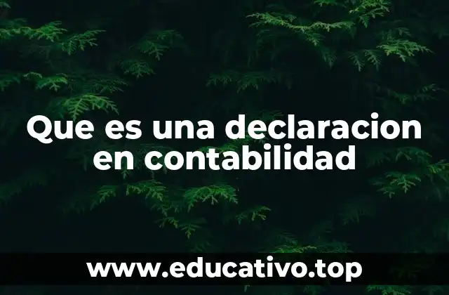 Que es una declaracion en contabilidad