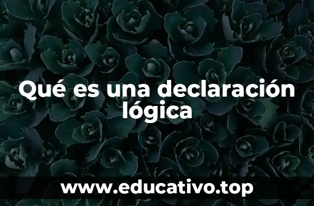 Qué es una declaración lógica