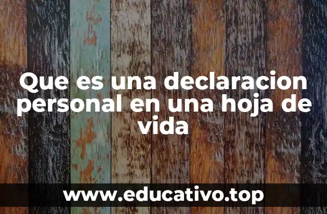 Que es una declaracion personal en una hoja de vida