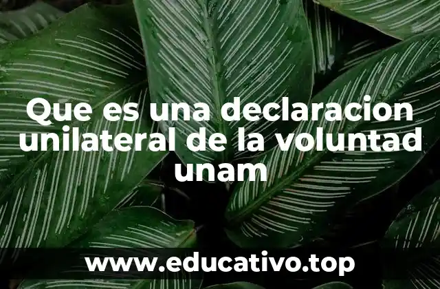 La importancia de la autonomía en el trámite universitario