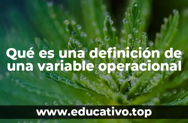 Qué es una definición de una variable operacional