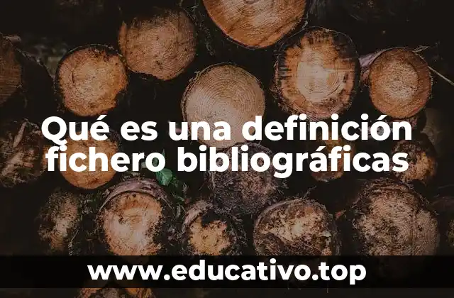 Qué es una definición fichero bibliográficas