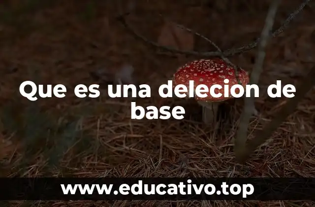 Que es una delecion de base