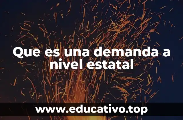Que es una demanda a nivel estatal