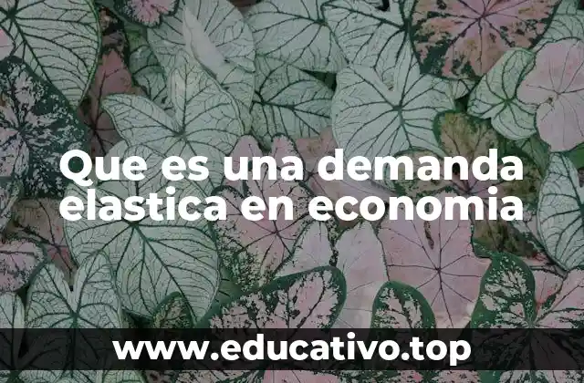 Que es una demanda elastica en economia