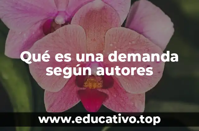 Qué es una demanda según autores