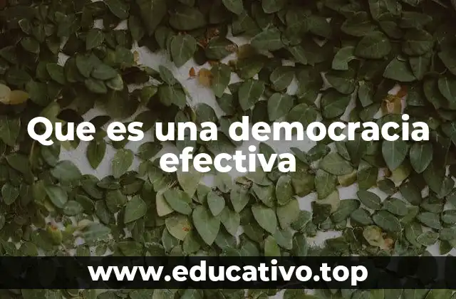 Que es una democracia efectiva