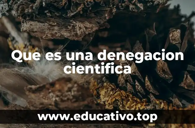 El impacto de rechazar la evidencia científica en la sociedad