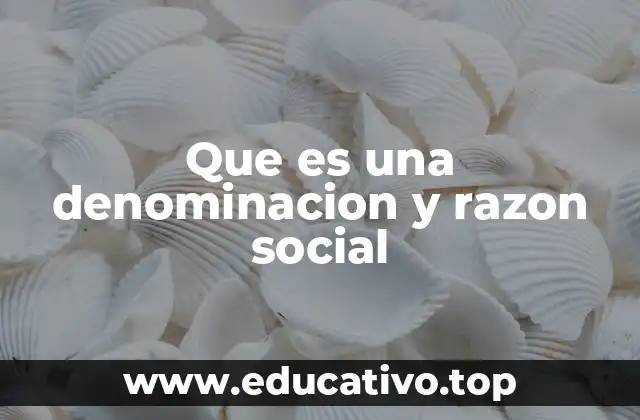 Que es una denominacion y razon social