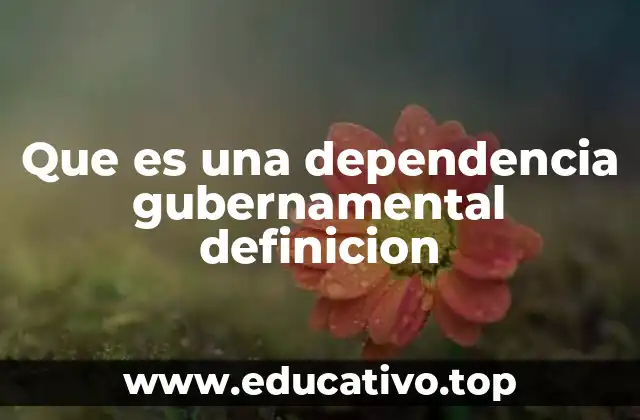 Que es una dependencia gubernamental definicion