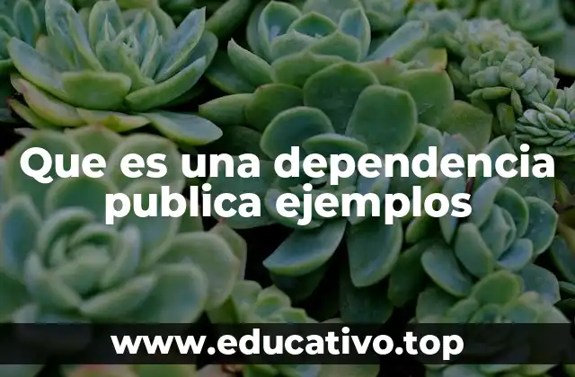 La organización del gobierno y sus instituciones clave