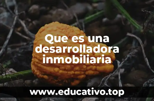 Que es una desarrolladora inmobiliaria