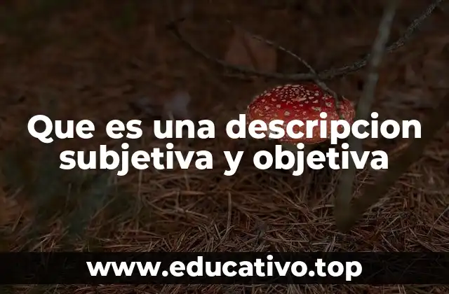 Que es una descripcion subjetiva y objetiva
