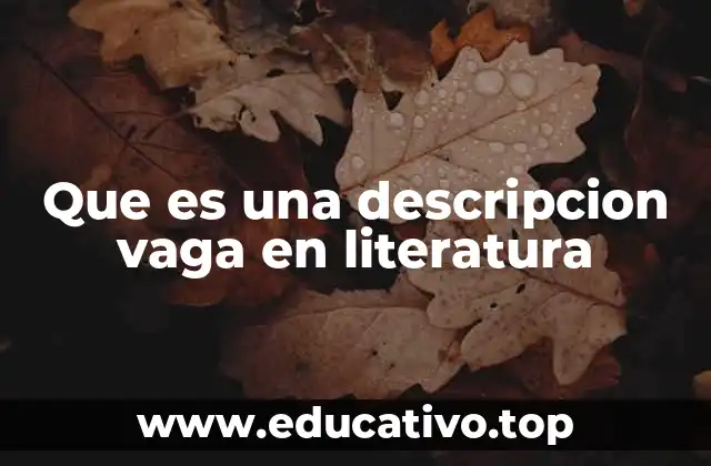 Que es una descripcion vaga en literatura