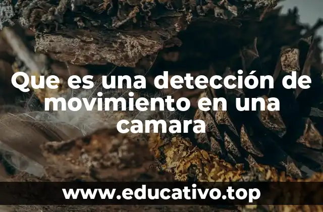 Que es una detección de movimiento en una camara