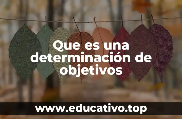 Que es una determinación de objetivos