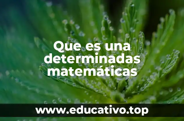 Que es una determinadas matemáticas