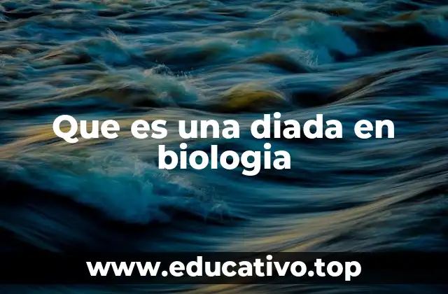 Que es una diada en biologia
