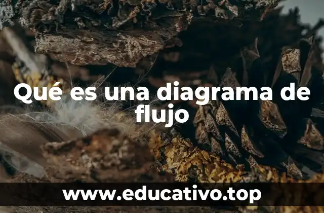 La importancia de visualizar procesos mediante símbolos gráficos