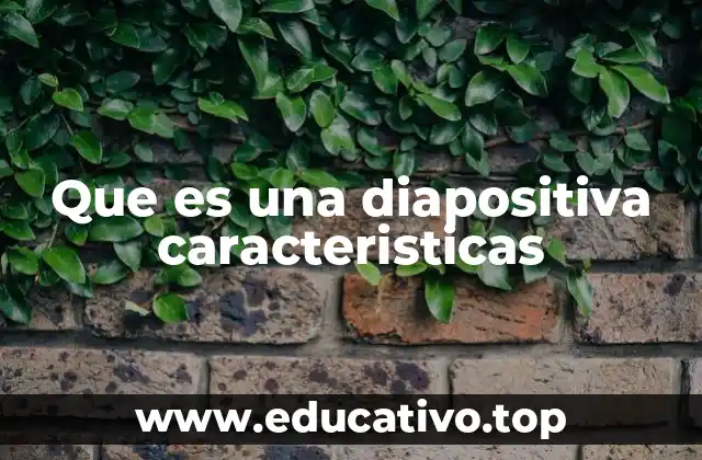 Que es una diapositiva caracteristicas