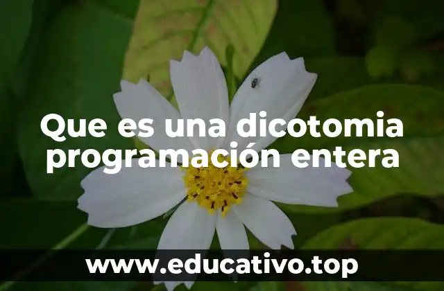 La diferencia entre modelos continuos y modelos discretos