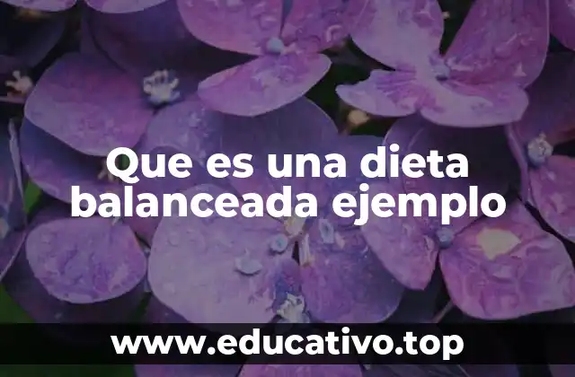 Que es una dieta balanceada ejemplo