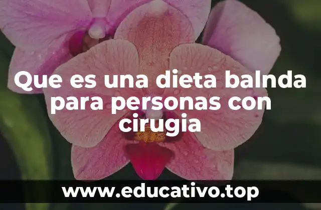Que es una dieta balnda para personas con cirugia